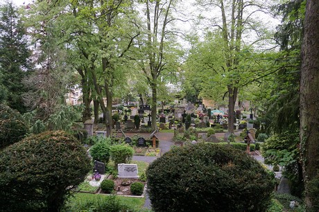 Bad Godesberg